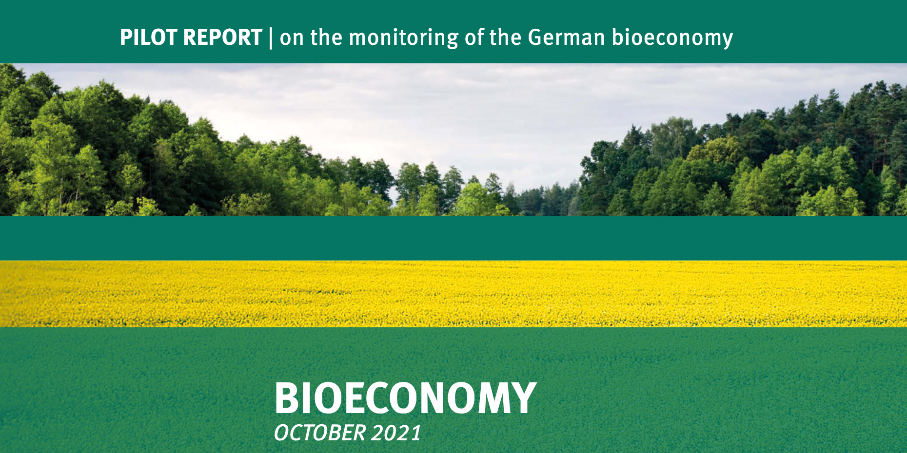 The pilot report: monitoring bioeconomy.